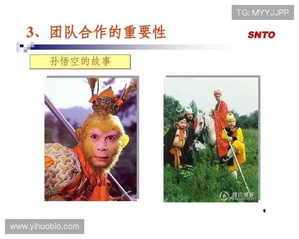 杭州乒乓球队精英赛精彩表现分析团队协作的重要性与未来展望